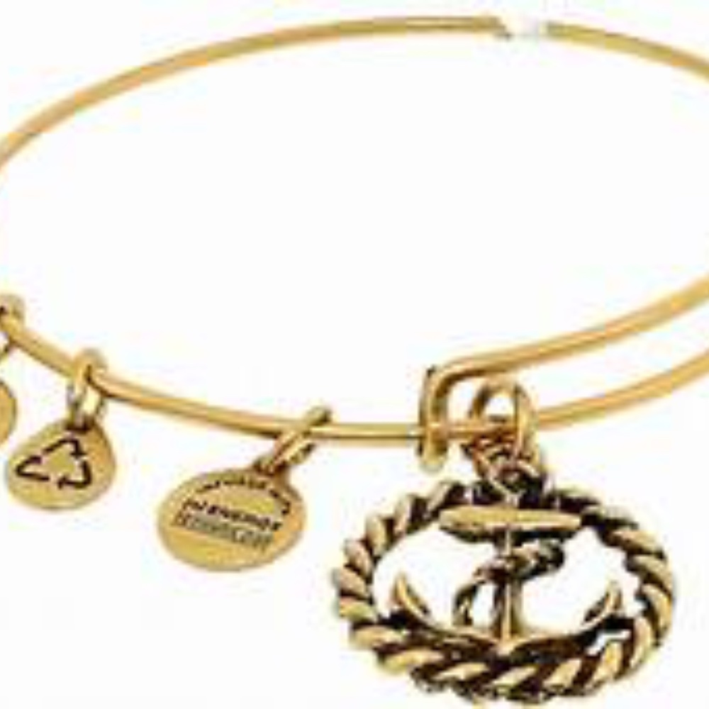 Alex and Ani Anchor Charm Bracelet